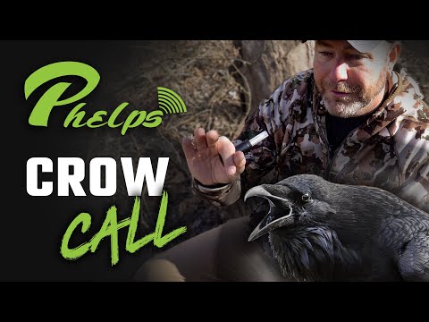 4K | MeatEater x Phelps | Crow Call