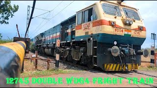 12475 Double WDG4 | Pulling Fright Train | Kolhapur - Pune Down Line