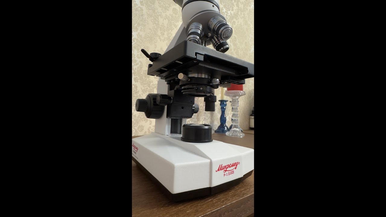 Монстры живущие на твоей кухне, под микроскопом