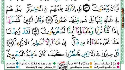 (مكررة) حفظ سورة النمل (14) للقارئ الشيخ محمد سايد