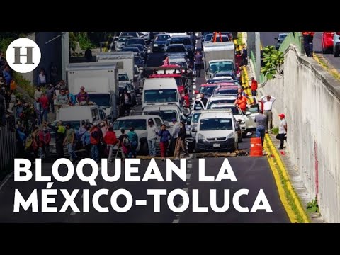 ¡Se oponen a la tala ilegal de árboles! Vecinos bloquean la carretera ...