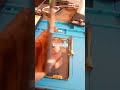 We make your smartphone great again with our expert repair services.