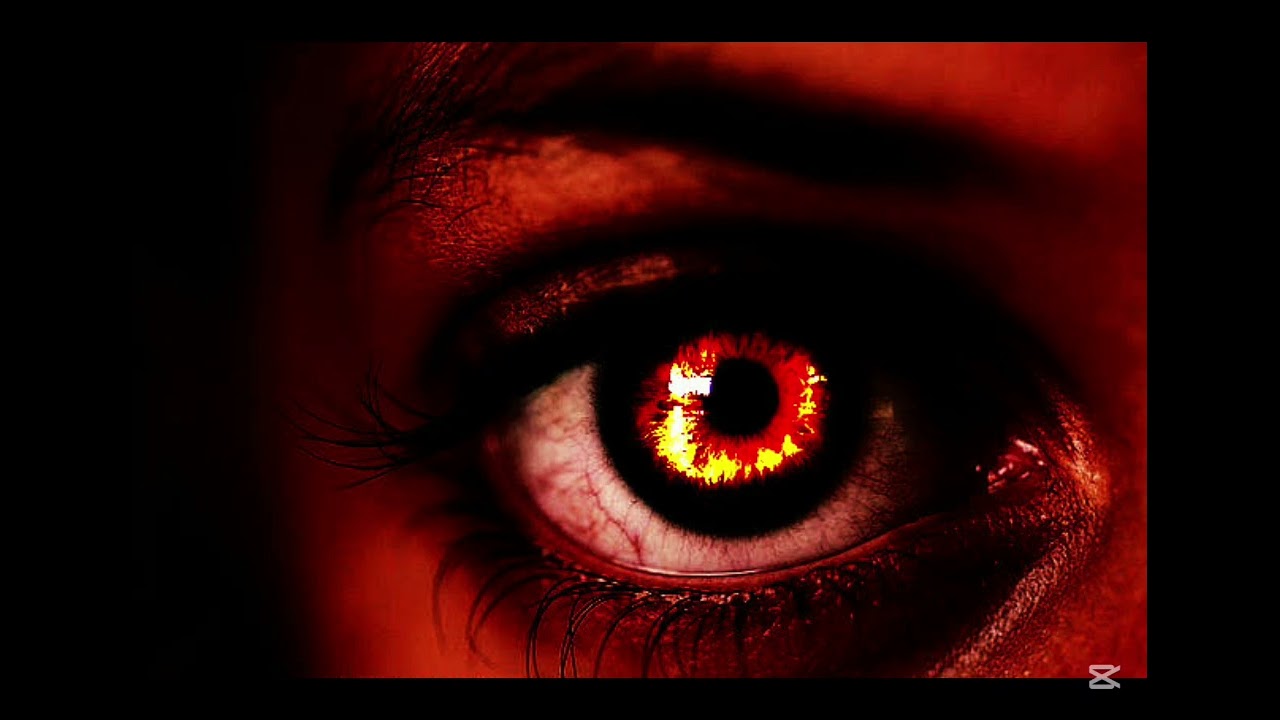 D max Success is revenge