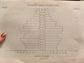 Population Pyramid Analysis