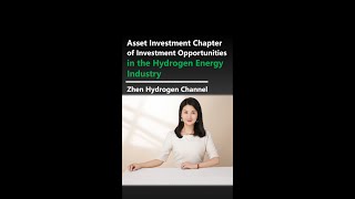 Asset Investment Chapter of Investment Opportunities in the Hydrogen Energy Industry