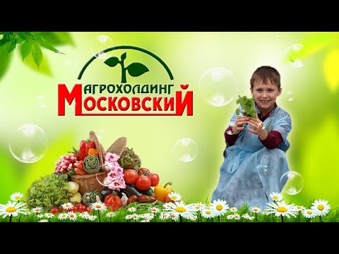 Агрохолдинг МОСКОВСКИЙ. Школьная экскурсия