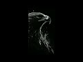 Hard Trap Sample Beats ’'Love Eye's''