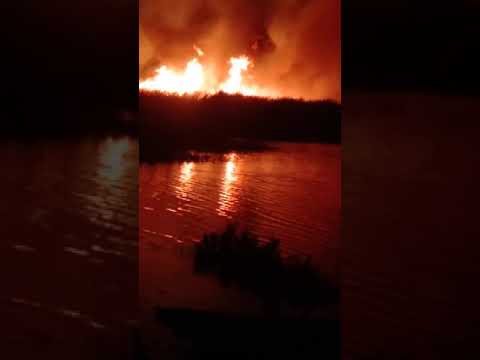 عملية اجرامية في مدينة سيدي عمران الوادي