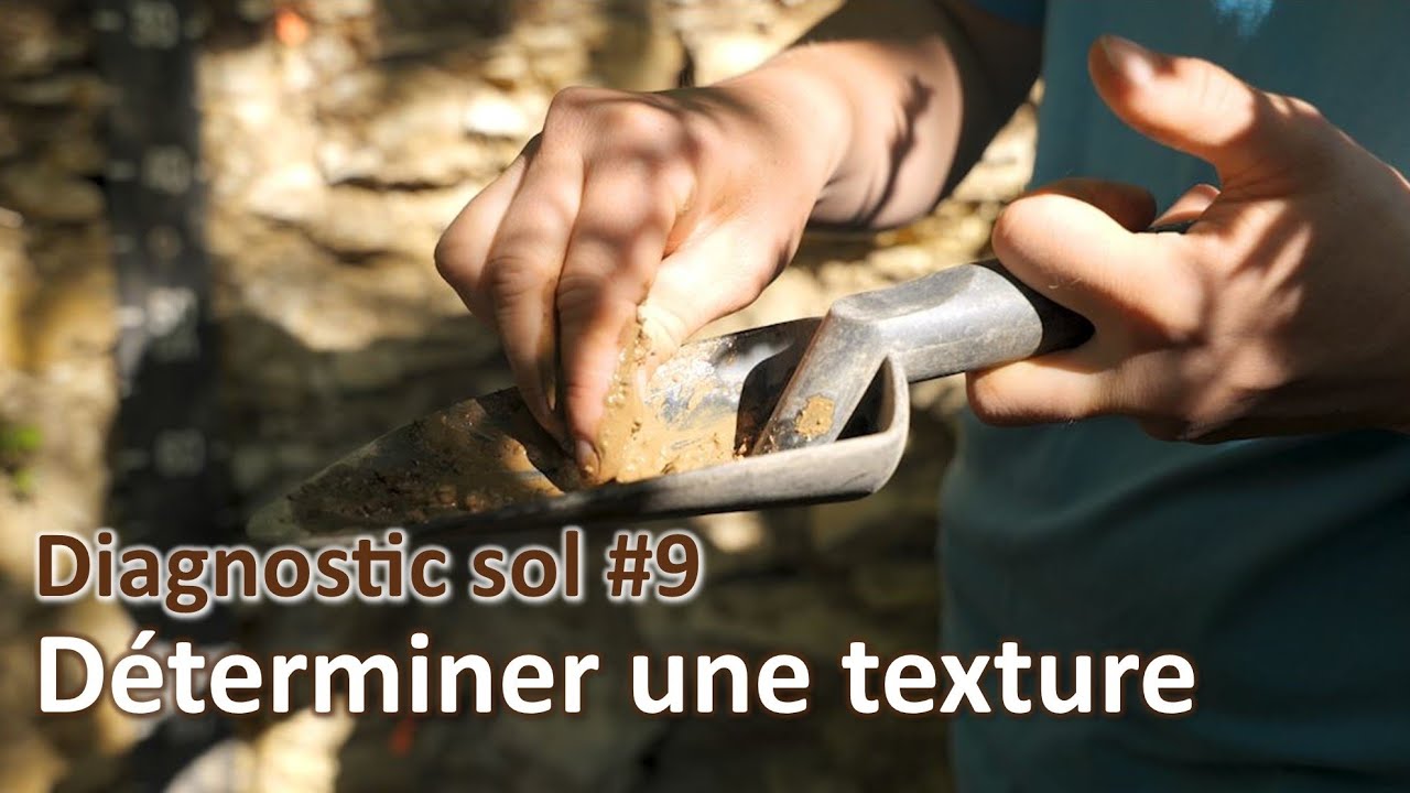 Diagnostic sol #9 | Texture