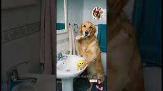 dog teeth cleaning time ☺️ fun moments 😁 #shorts #viral