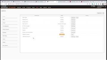RUCKUS IoT: Debugging Services