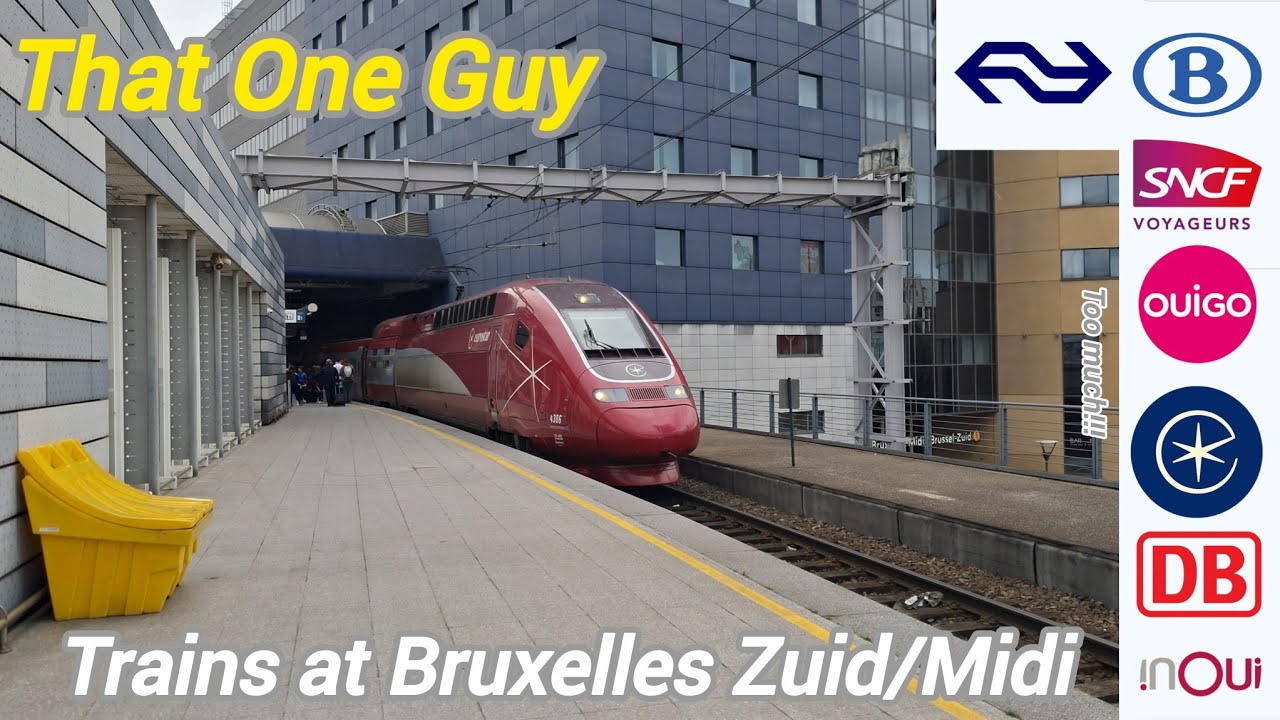 Trains at Bruxelles Zuid/Midi
