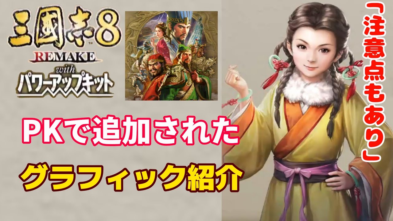 Romance of the Three Kingdoms 8 REMAKE with PK 