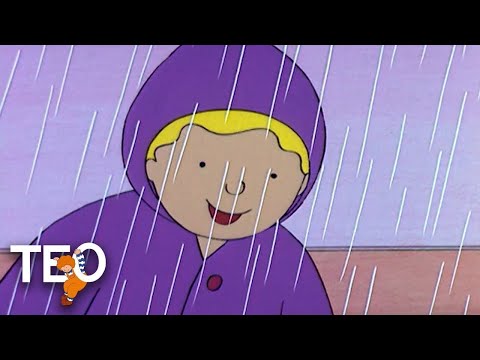 TEO | LLUEVE Y NOS MOJAMOS | Dibujos animados para niños en español