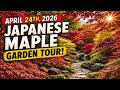 Spring Japanese Maple Garden Tour | April 24th, 2026