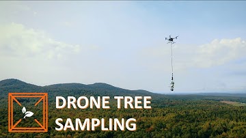 DeLeaves - UAV Tree Canopy Sampling Technology