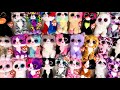 My beanie boo cat collection