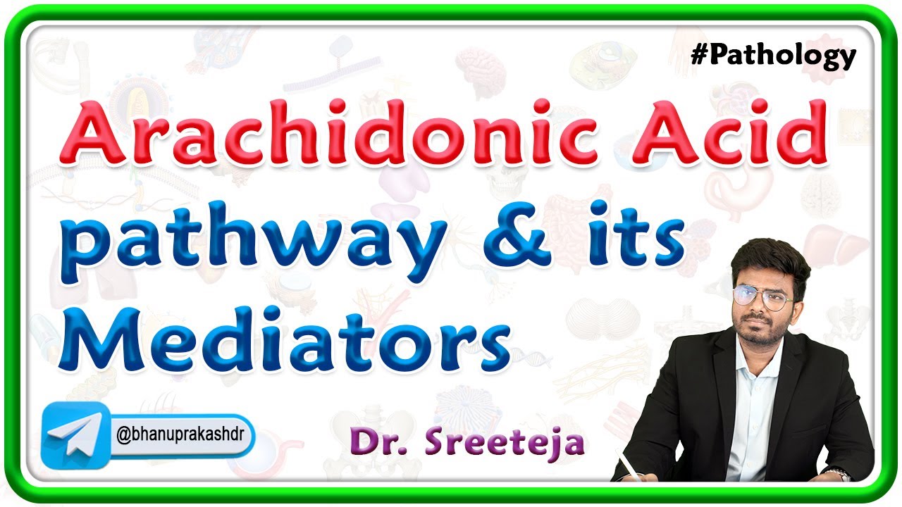4. Arachidonic Acid pathway and its Mediators : Pathology USMLE Step 1