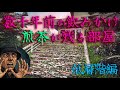 巨大廃墟観光ホテルはまるで負のタイムカプセル・・・
