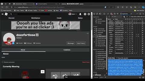 HOW TO BEAM HACK COOKIE LOG ROBLOX ACCOUNTS WORKING NOVEMBER 2025