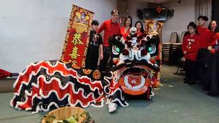 Lion Dance by Tang's Pak Mei | CNY 2026 | SaiKei Chinese Restaurant, London