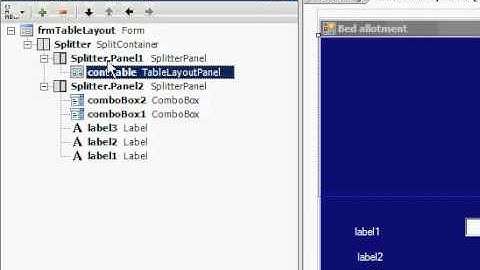 AutoScroll for SplitterPanel