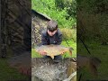 PB carp! | 16lb | #fishing #fish #carp #carpfishing #wyreside #wyreparks #pbcarp #pb #bigfish #howto
