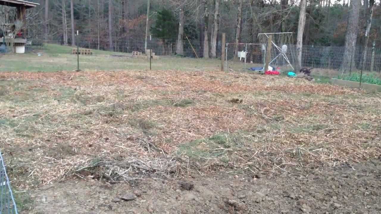 Back to Eden Garden Update First loads of mulch in the garden! YouTube