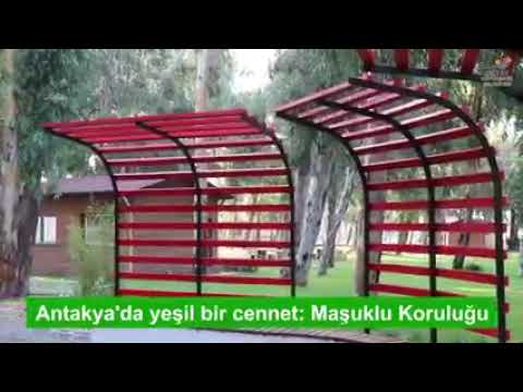 35 Dönümlük Modern Koruluk