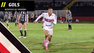 GOLS | Botafogo 2x1 Operário - Brasileiro Série B - 14/06/2026