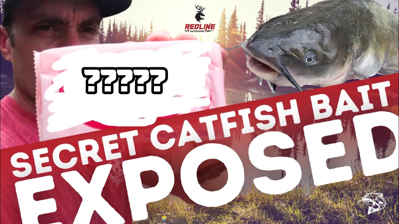 SECRET Catfish Bait You Never Heard of!!! [Catch, Clean and Cook] 