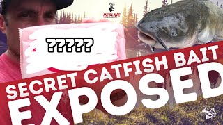 SECRET Catfish Bait You Never Heard of!!! [Catch, Clean and Cook] #fishing #catfishing