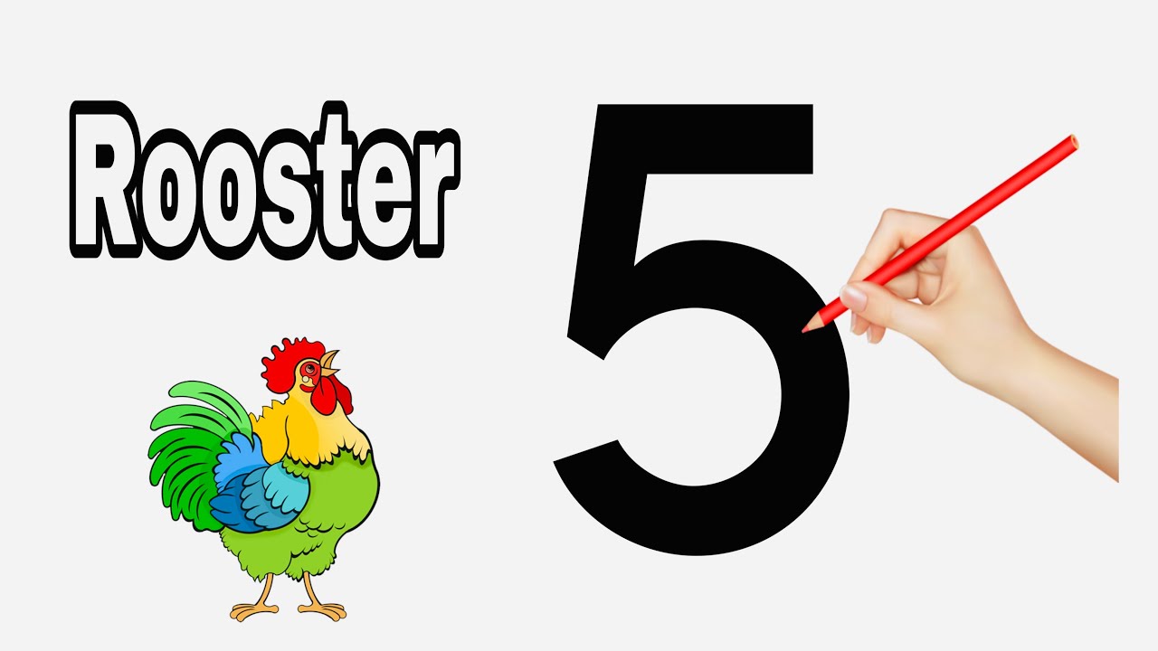 How to draw a Rooster with number 5 | easy rooster drawing #pasiart ...
