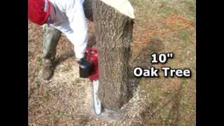 Full Harbor Freight Electric Chainsaw UNBOXING and REVIEW Sears Craftsman Chain Saw Guide