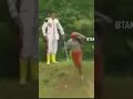 Takeshi's Castle Ep 01 Skipping Stones in Replay