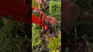 Kubota Bx23s Stump Removal