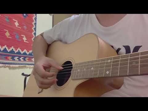 【大学生が弾き語ってみた】カブトムシ／aiko cover