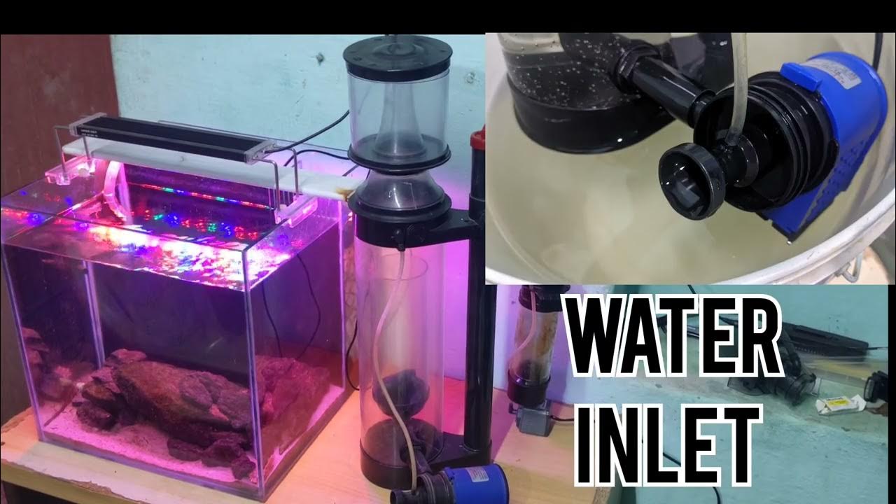 how protein skimmer worksprotein skimmer tamil marine tank YouTube
