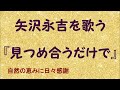 『見つめ合うだけで』/矢沢永吉を歌う_682 by 自然の恵みに日々感謝