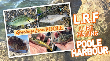Ultra Light Lure fishing! LRF multi-species fishing in Poole Harbour, Dorset.