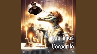 Lagrimas De Cocodrilo