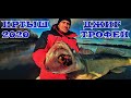 Иртыш  Ловля на Джиг  Трофейная рыбалка  Судак под 8 кг, Щука под 10 кг