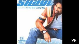 Shaggy - Walking In My Shoes.