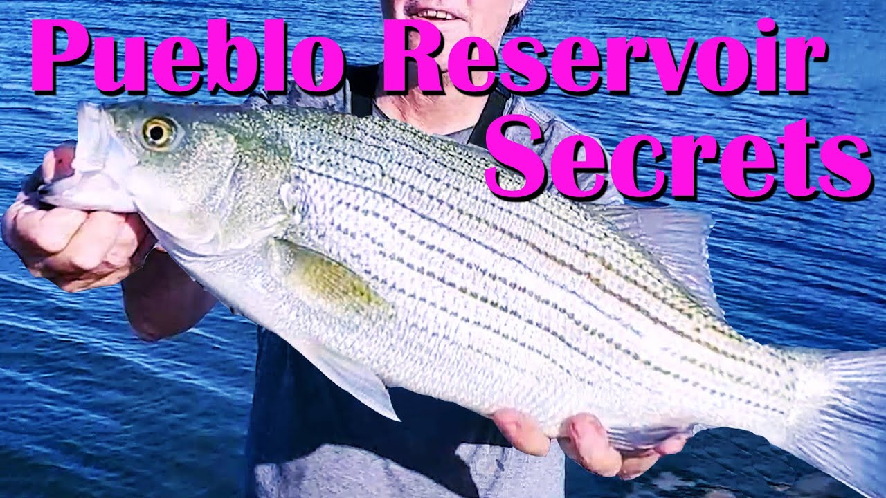 Tips & Tricks Pueblo Reservoir Shore Fishing how to for success Lake