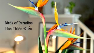 DIY home decor idea, Bird of Paradise flower simple arrangement, alinahome Resimi
