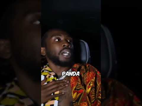 Panda Designer With Buba100x Is Hilarious Panda Shorts 