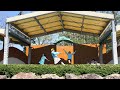 Petit fleur よさこいと踊りのフェスティバルin寺泊