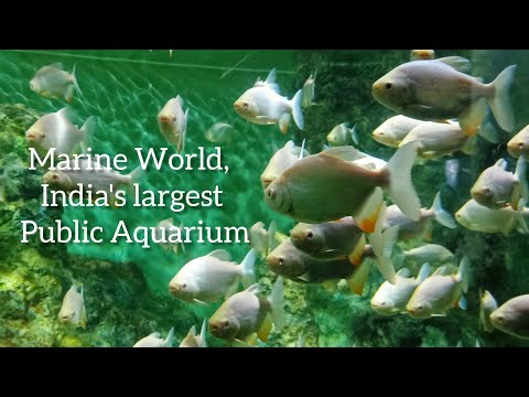 Marine world - India's largest public Aquarium, Panchavadi Beach, Near Chavakkad @OurOphirAshaMaria