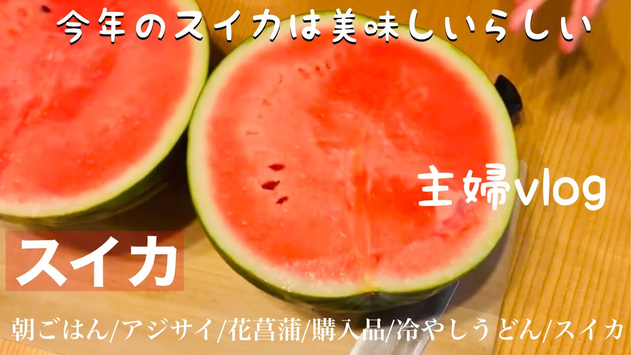 #61【暮らし50代】🍀おしゃれに暮らせない私の日常/スイカ