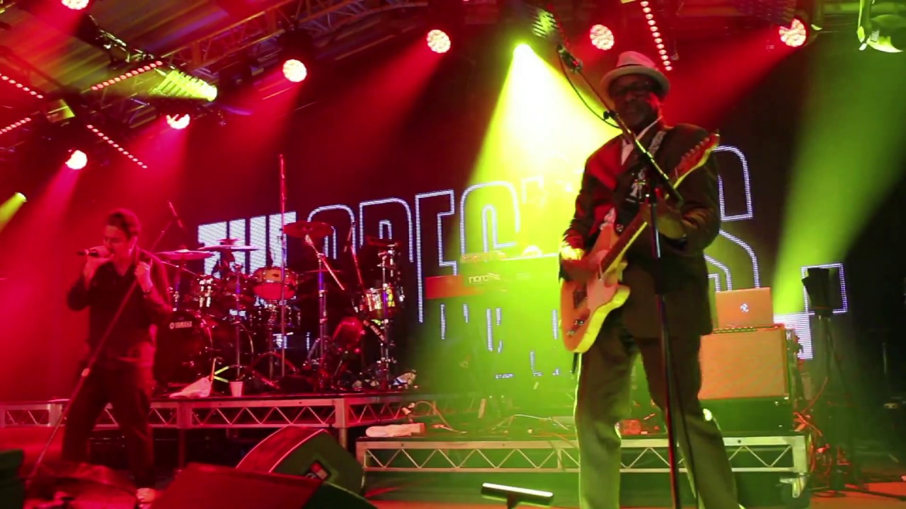 The Specials - live at Golden Plains 2017